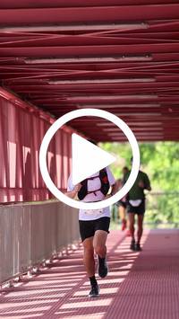 BIB:  <button type="button" onclick="openModal(27575661)" class="btn btn-primary btn-sm float-right" data-toggle="modal" data-target=".modal-high-quality">
                <i class="fa fa-download"></i> Download
                </button>